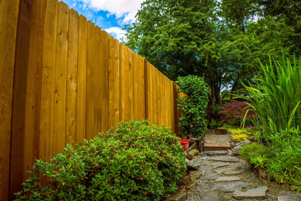 Cedar fence
