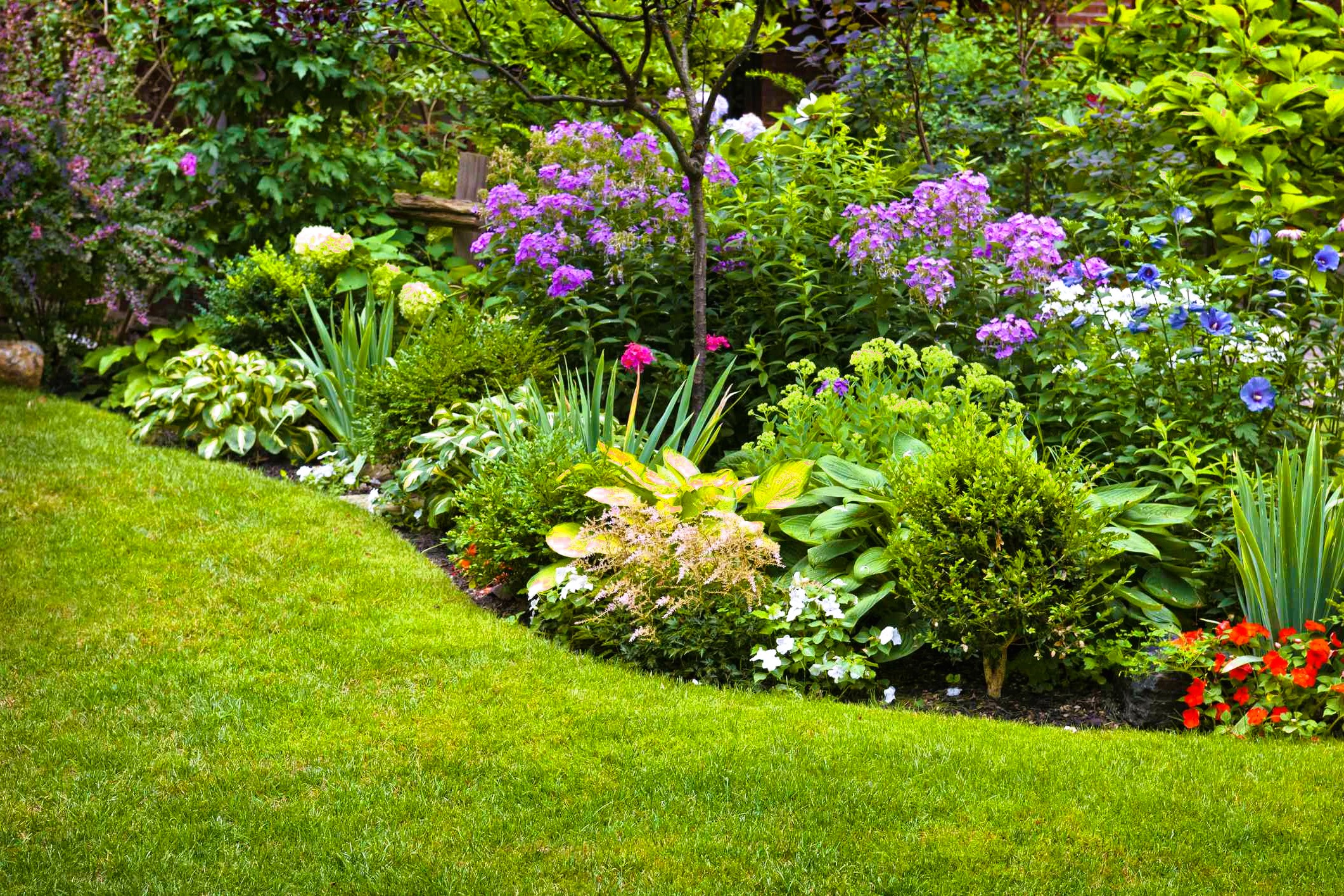Yard Design Basics: Creating a Harmonious Space