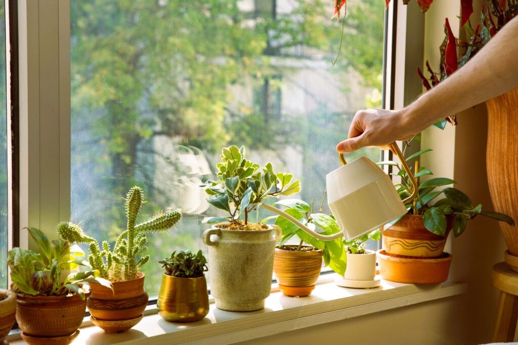 Watering flowers