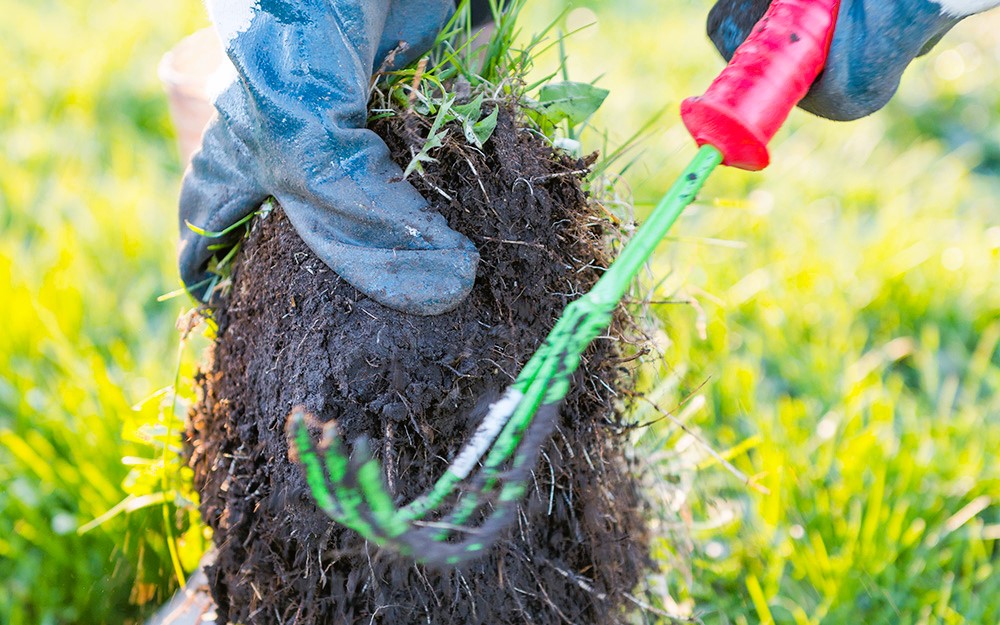 Healthy Lawn Care Practices