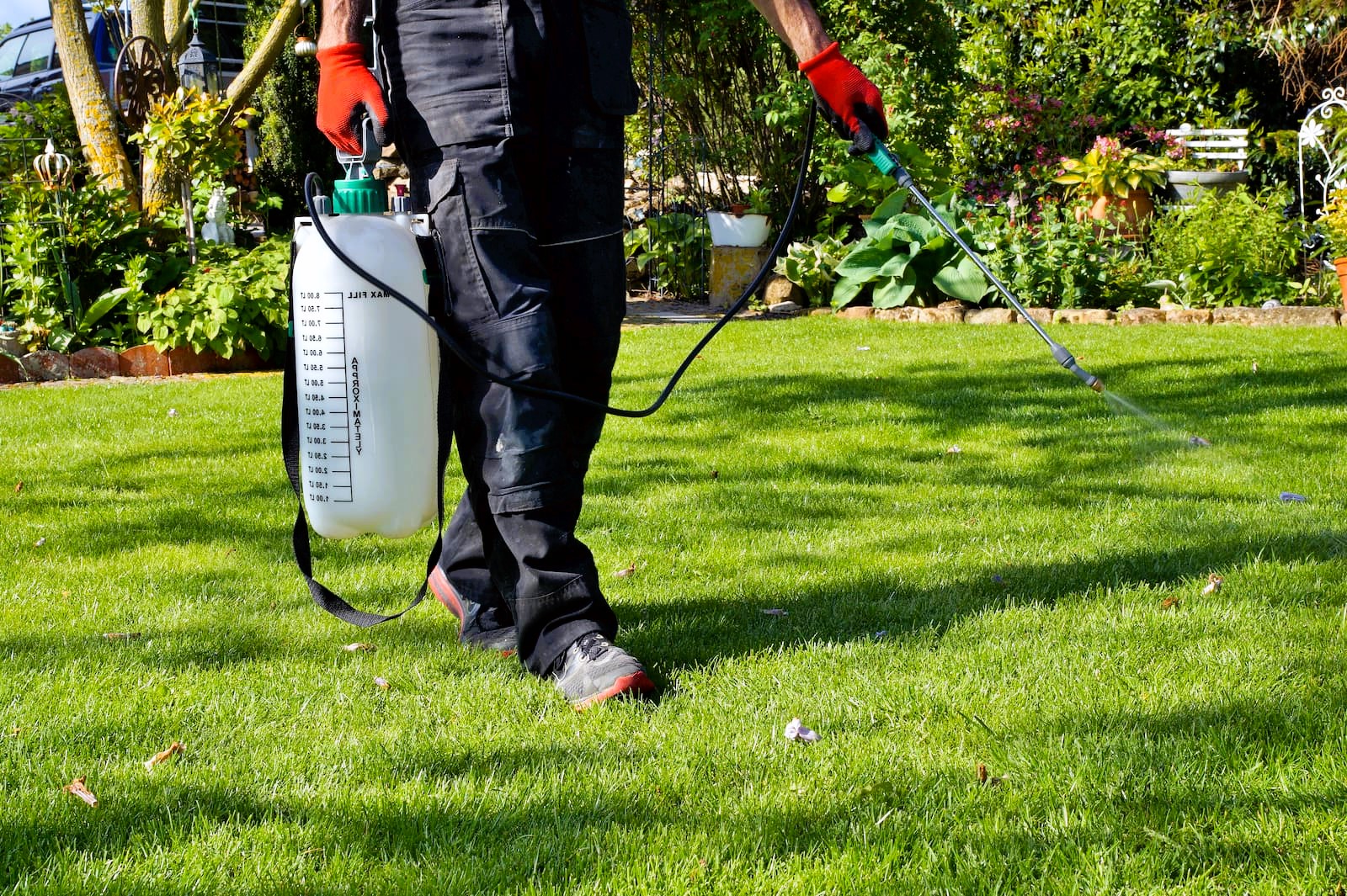 Weed Control: Effective Methods for Keeping Your Yard Clean